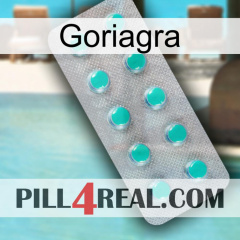 Goriagra 28